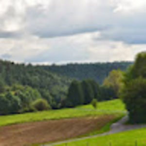 Meet your Posher, Miklos